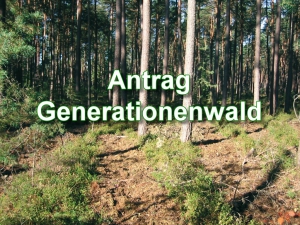 Antrag: Herzogenauracher Generationenwald